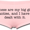 Thumbnail image for On Finding My Big Girl Panties (and Then Wearing Them)