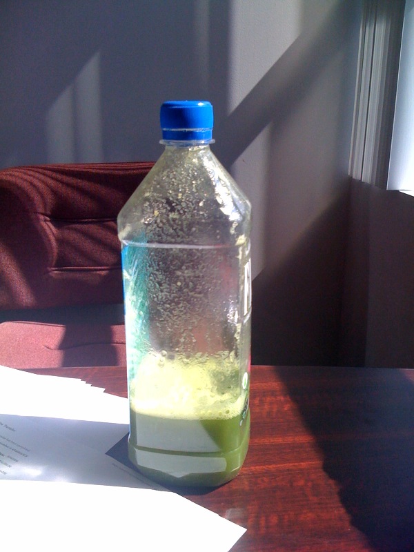 photo photo