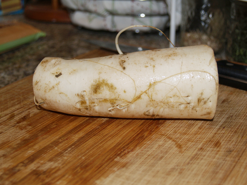 daikon daikon