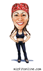 mizfit mizfit