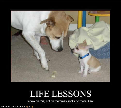 life lessons